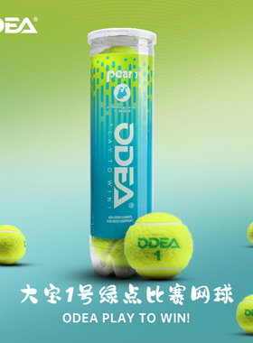 欧帝尔大宝1号儿童网球odea青少年训练比赛用球绿点过渡球减压球
