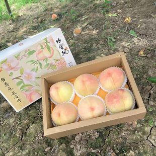 正宗无锡阳山水蜜桃水果7-8两6个大桃子白凤湖景新鲜桃甜礼盒装