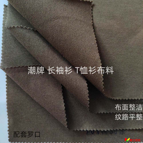 潮牌T恤衫棉涤双纱汗布服装面料