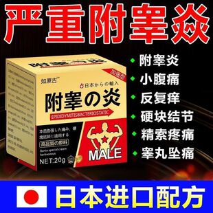 精索静脉曲张阴囊肿胀坠痛胀青筋凸起睾丸结节疼痛蛋蛋疼附睾炎