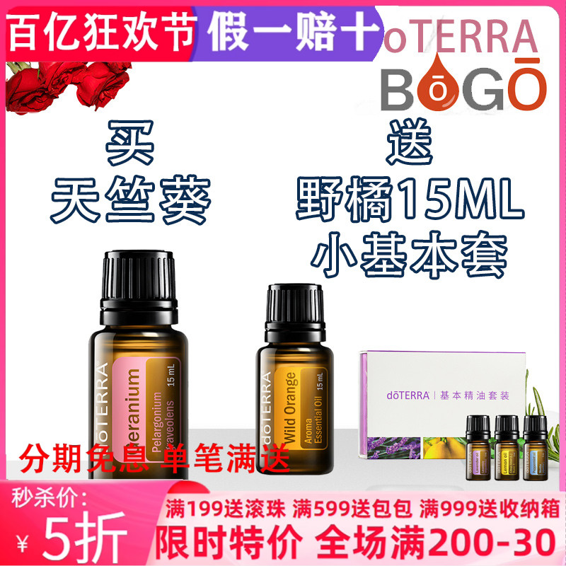 買天竺葵送野橘小基礎套