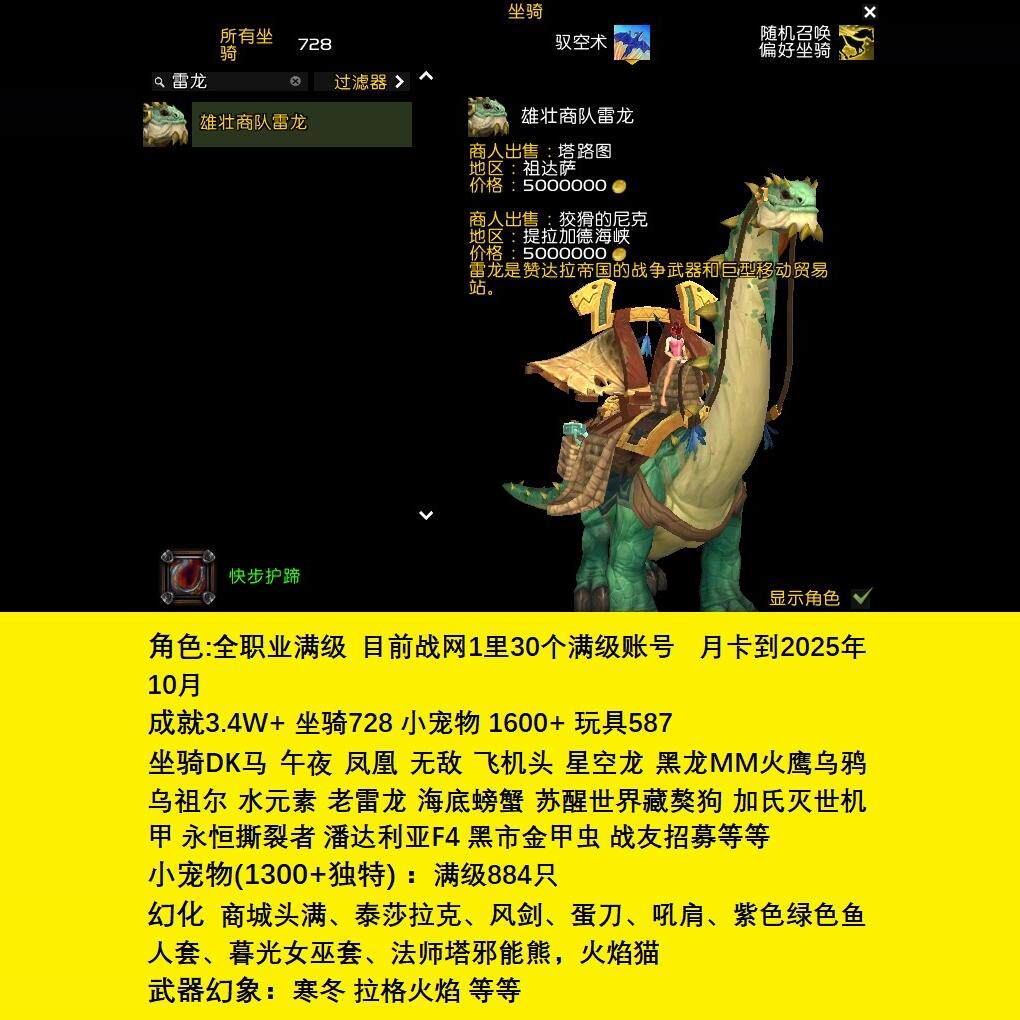 魔兽世界坐骑宠物收藏号!30个满级角色728坐骑1600+宠物3.4W成就