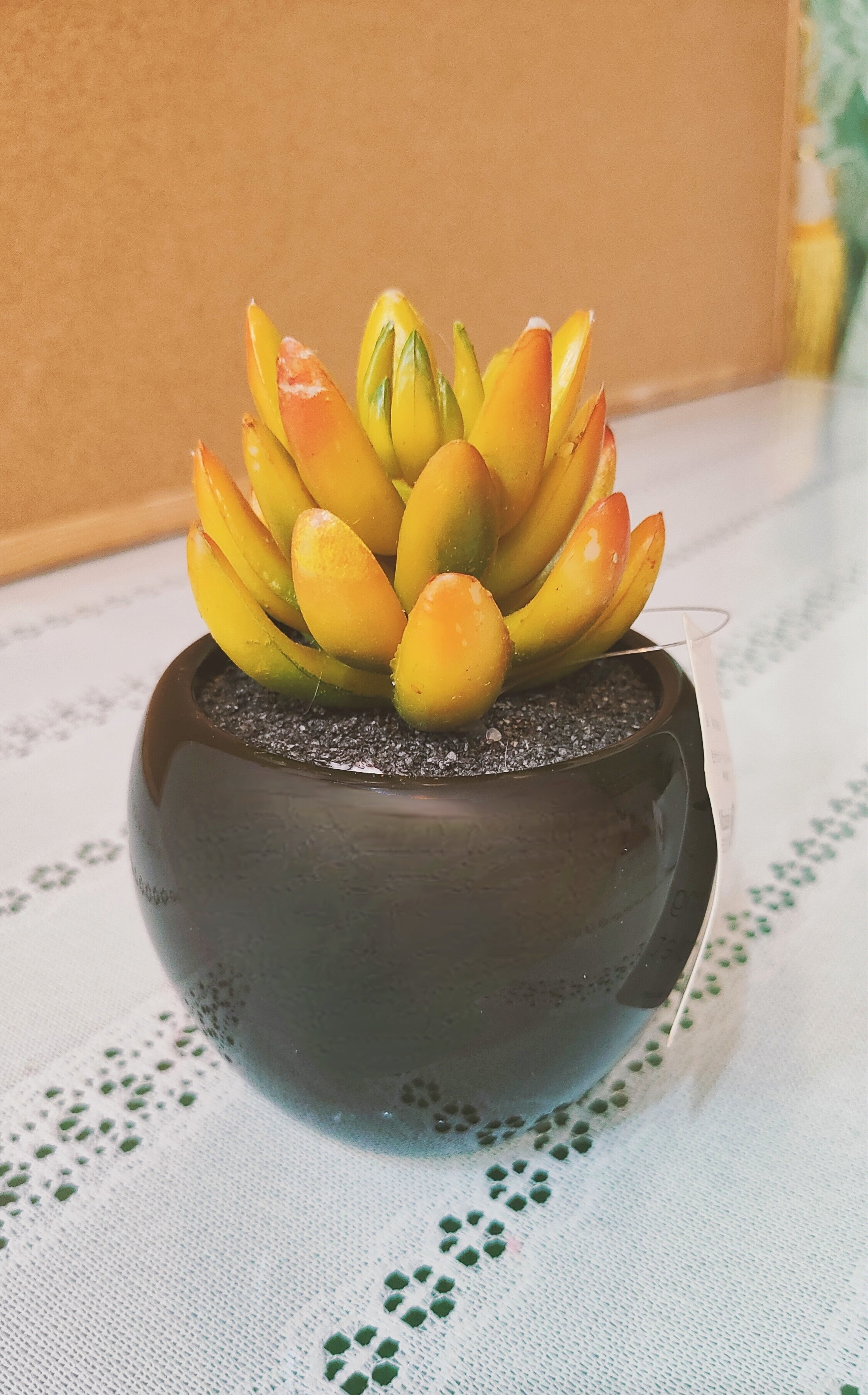 仿真仙人指多肉塑料植物盆栽桌面摆件仿生绿植多肉小盆景