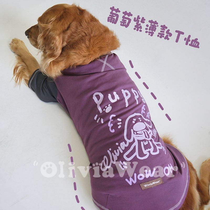 洋气绝绝紫 新品原创金毛阿拉斯加大型犬夏季超薄透气纯棉宠物T恤
