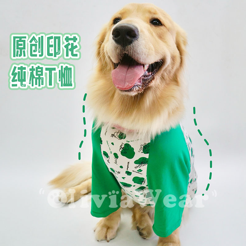 今秋流行色 新品原创款金毛萨摩纯棉印花T恤大狗春秋卡通宠物衣服