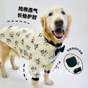 金毛大狗秋款 纯棉长袖 保护关节舒适家居服 原创新品 小绅士护肘服