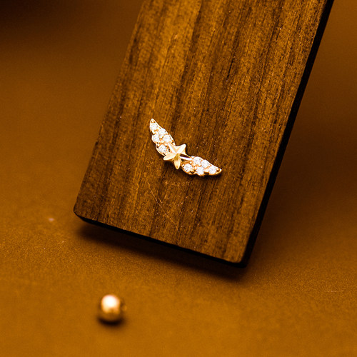 innore10K金镶钻翅膀螺纹耳钉