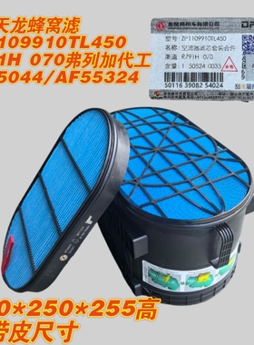 ZP1109910TL450东风天龙蜂窝滤原装正品AF55044/AF55324弗列加