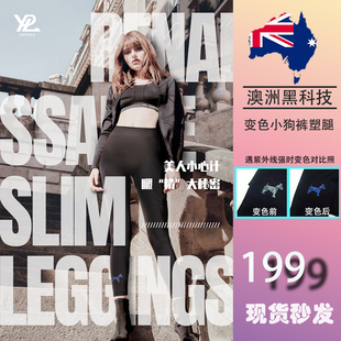 澳洲YPL裤 女打底外穿美腿收腹提臀塑形黑科技瑜伽休闲 小狗裤