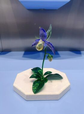 代购SWAROVSKI施华洛世奇 Florere 兜兰5721548水晶摆件