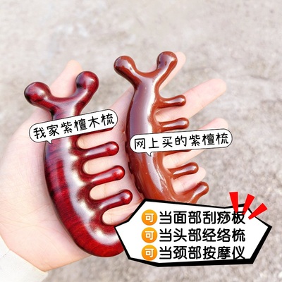 紫檀木经络按摩梳家用防静电