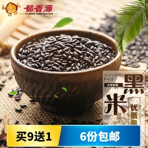 东北黑米250g黑大米新货黑龙江农家自产五常黑香米五谷杂粮黑米粥