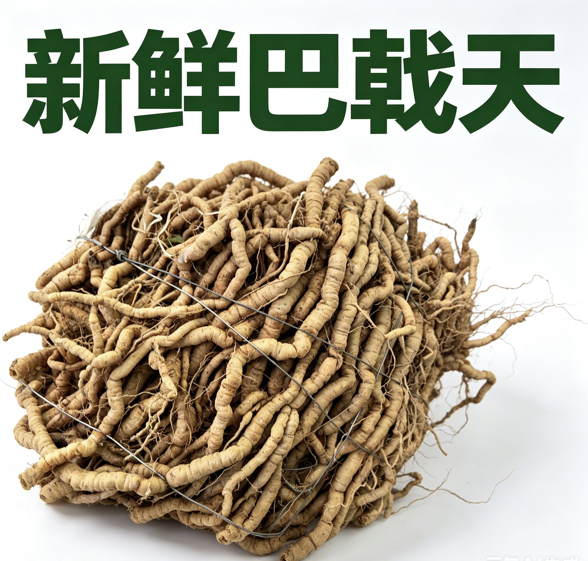 中药材鸡肠薯新鲜巴戟天鸡肠风凤眼根特级煲汤泡酒汤料非野生巴吉