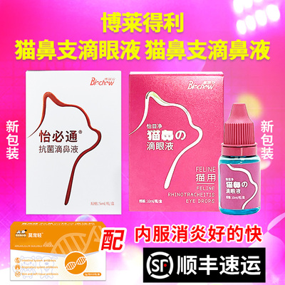 发顺丰正品博莱得利滴眼液