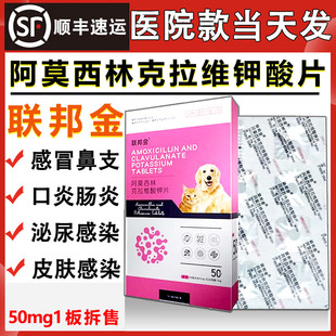 联邦金阿莫西林克拉维酸钾片宠物阿莫西林猫感冒药泌尿药猫咪狗狗