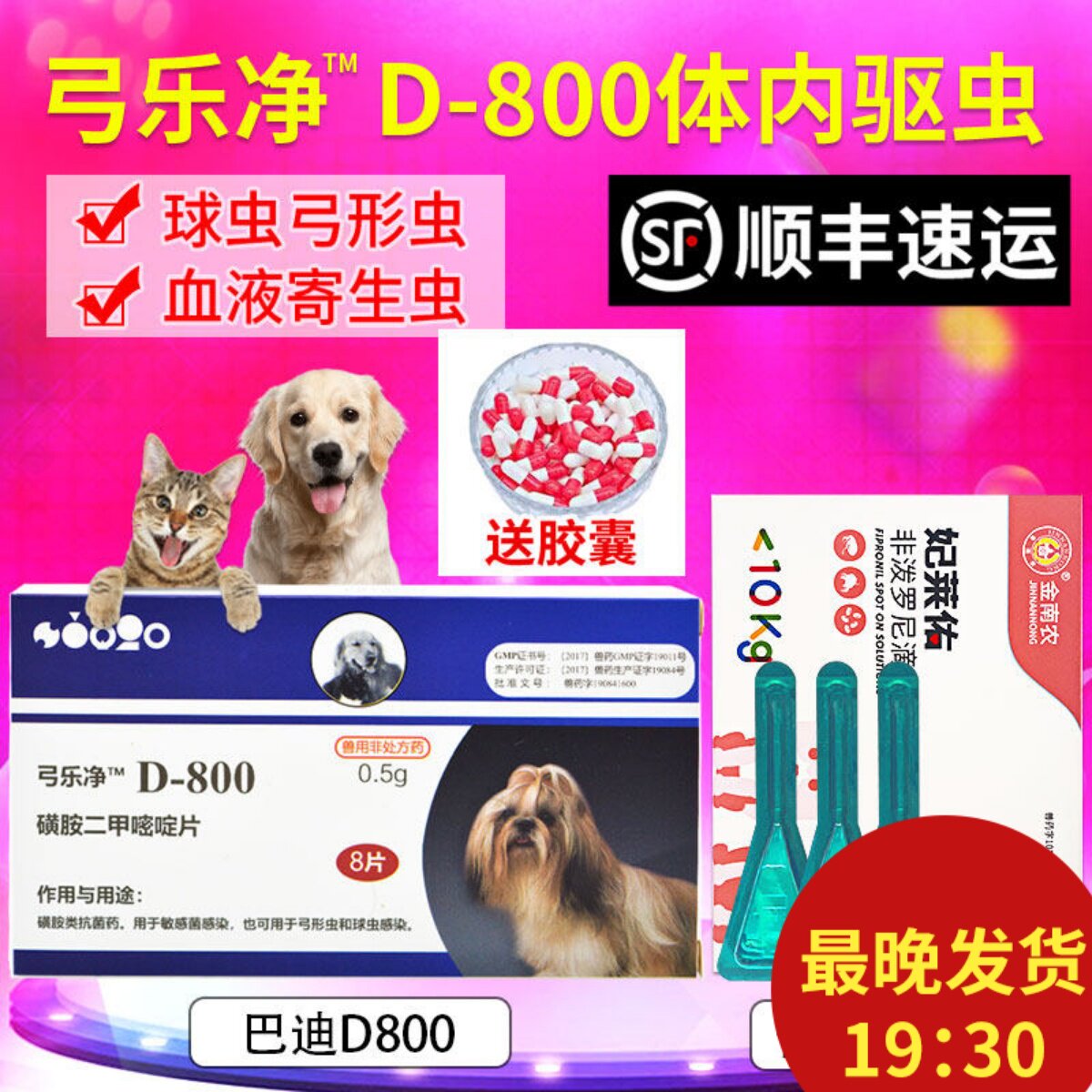 美国巴迪D800弓乐净宠物狗狗弓形虫球虫猫咪体内打虫药驱虫药一盒
