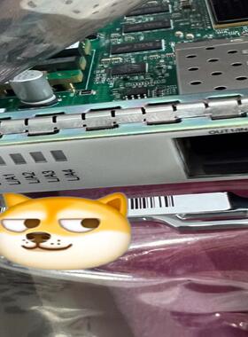 华为EGS4 TNF1EGS4 以太网处理板 OSN1800