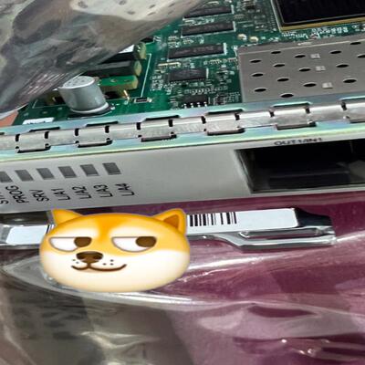 华为EGS4 TNF1EGS4 以太网处理板 OSN1800