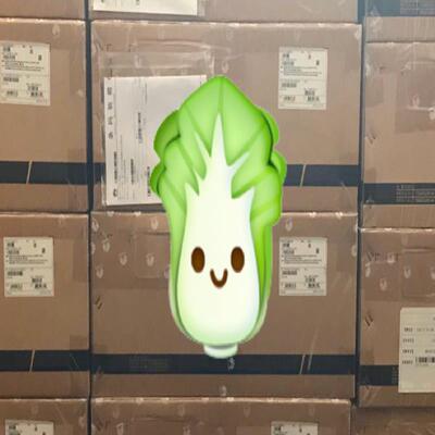 项目剩余全新未拆封华为 CE12800 CE-L16CQ-F