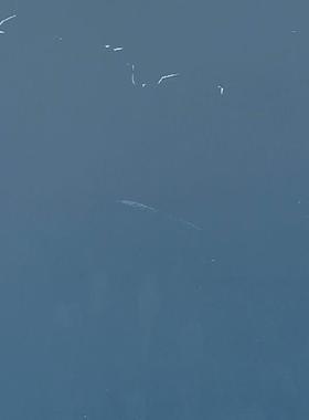 二手H3C S5500-48P-WiNet  48口全千兆以