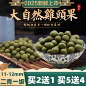 2025天长龙岗特产新鲜鸡头果高品质二青一级野生带壳大芡实米450g