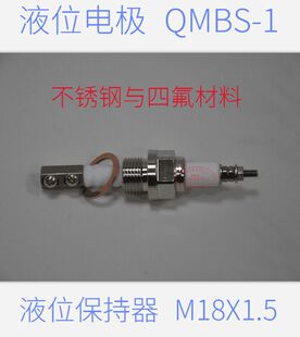 国产 液位水位保持器 水位电极 液位电极 精品
