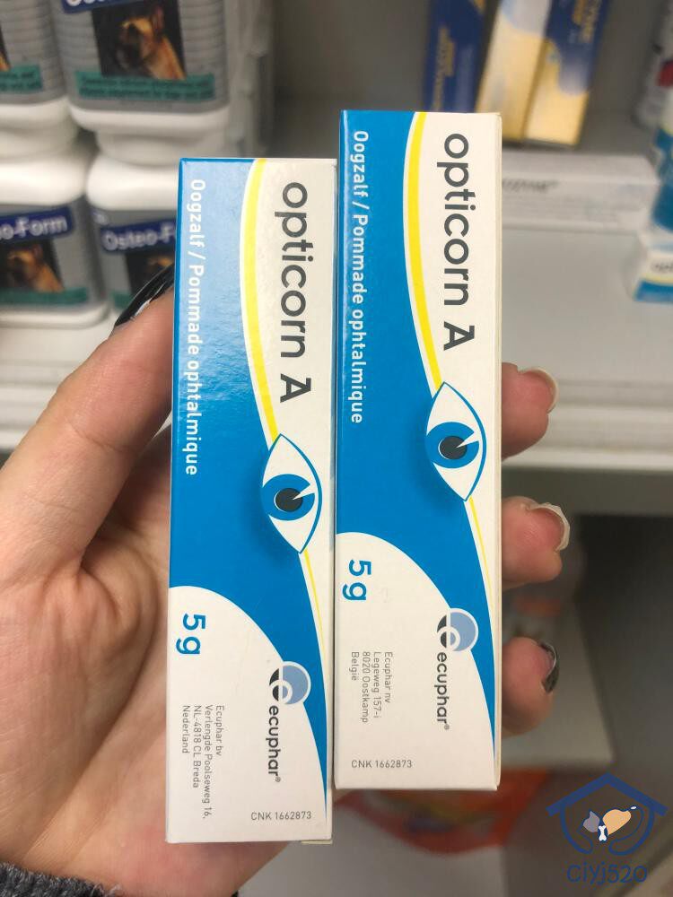 科盾宠物眼科软膏5g猫咪狗狗明亮眼睛缓解眼部干涩用品犬猫眼药膏