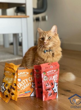 港购 英国 Lily's Kitchen 鬆脆雞肉三文鱼猫零食肉干宠物香脆60g