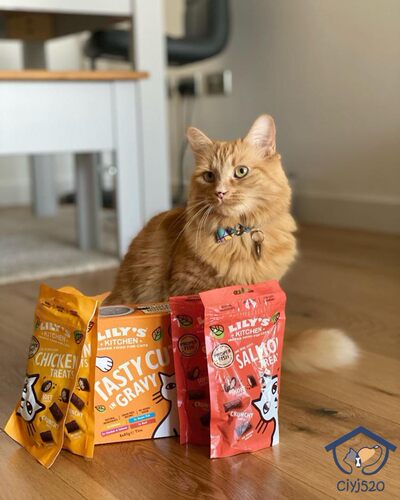 Lily'sKitchen猫零食香脆鬆脆