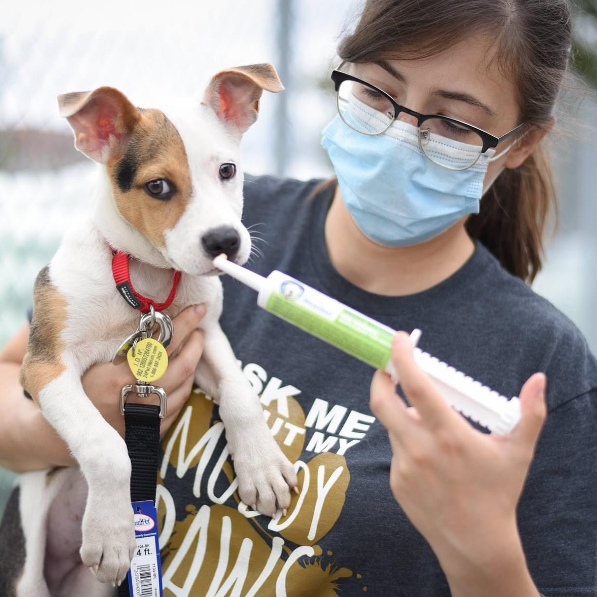 港购 美国Under the Weather益生菌促消化增加食欲犬猫软膏30cc,宠物/宠物食品及用品,狗特色保健品,淘宝优惠券,粉丝福利购,淘宝优惠卷