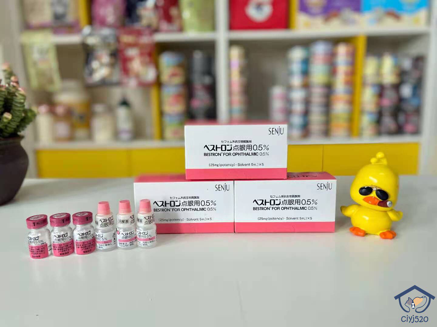 日本千寿头孢甲肟狗狗猫咪眼药水去泪痕宠物眼睛滴眼液红肿结膜炎