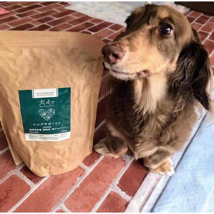现货日本犬心inukokoro虫草牛肉鸡肉提高免疫力防关节炎狗粮1.3kg
