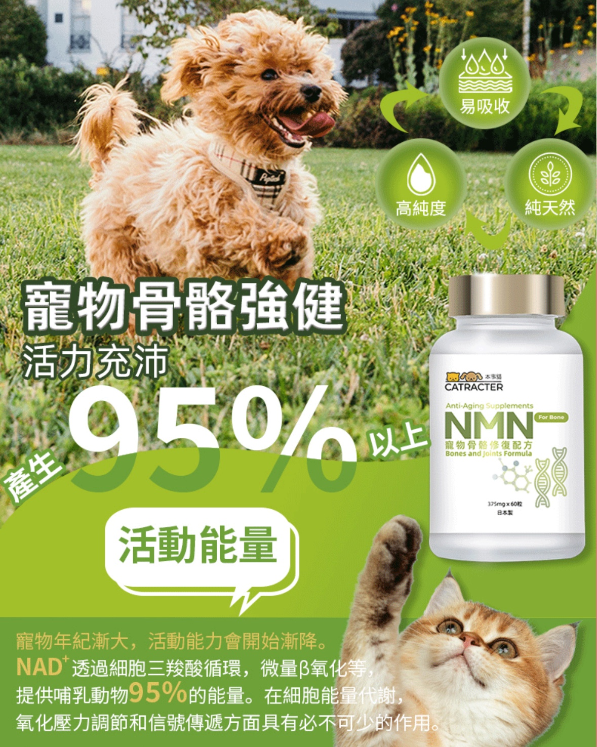 港购 日本 本事貓NMN寵物骨胳修復配方每瓶60粒