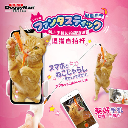 日本多格漫创意猫玩具逗猫棒逗猫自拍杆抓拍猫咪