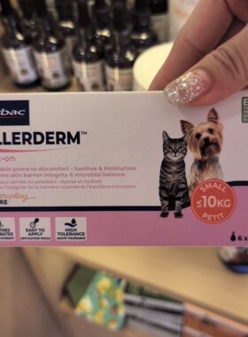港购 法国Virbac維克Allerderm Spot On 貓用皮膚冶療愛樂滴