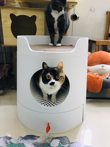 米尾猫砂盆猫MAYITWILL城堡组合