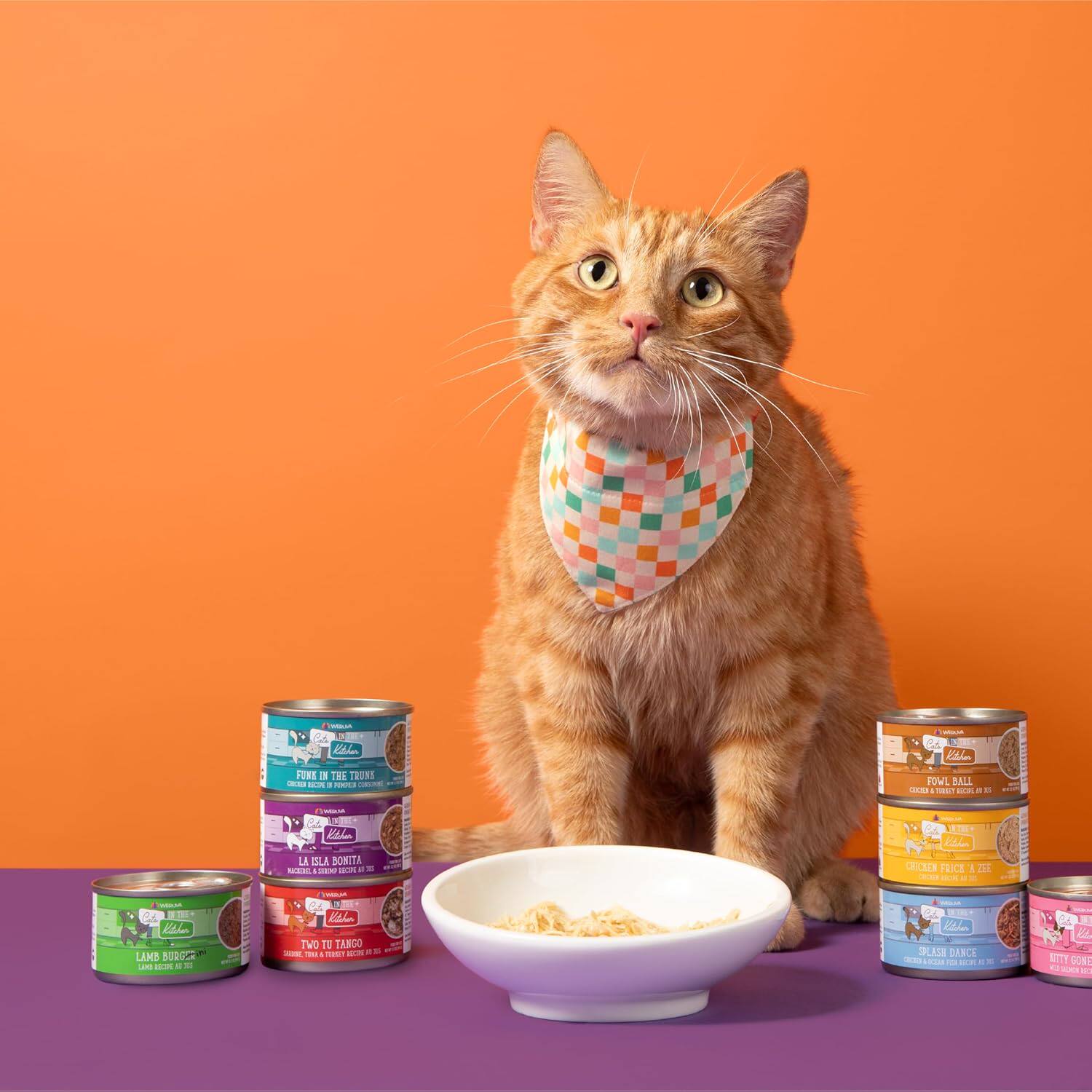 美国 唯美WERUVA无谷物猫在厨房成幼猫罐头主食汤罐营养90g