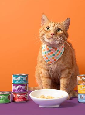 美国 唯美WERUVA无谷物猫在厨房成幼猫罐头主食汤罐营养90g
