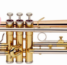 磷铜小号（三色小号） 调性/ Bb Trumpet