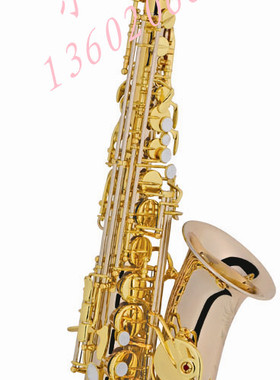 白铜中音萨克斯 调性/ Eb （柳泽902款 ） Alto-saxophone