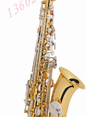 双色中音萨克斯    调性/ Eb   Alto-saxophone