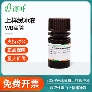 源叶蛋白上样缓冲液SDS-PAGE/非变性/TrisTricine-SDS-PAGE缓冲液