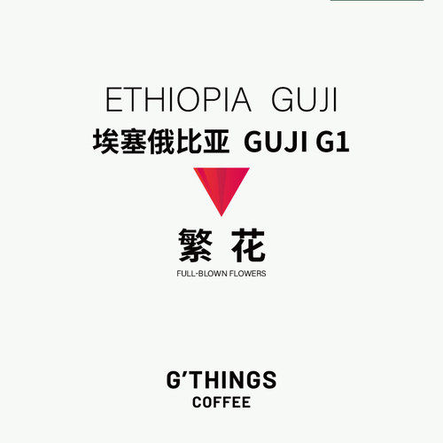 G'THINGS | GUJI G1繁花 咖啡豆埃塞俄比亚浅烘焙手冲咖啡200g