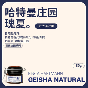 巴拿马哈特曼庄园瑰夏23年新产季日晒处理浅度烘焙手冲咖啡豆