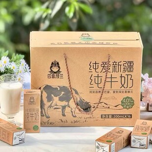 新疆纯牛奶巴音楼兰纯爱4.0g  乳蛋白儿童学生成人营养早餐奶