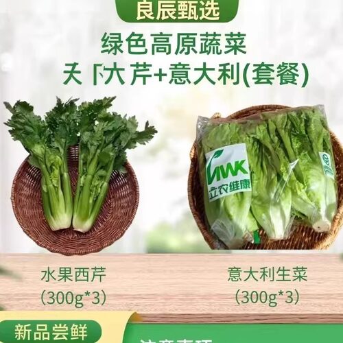 立农维康西芹生菜组合