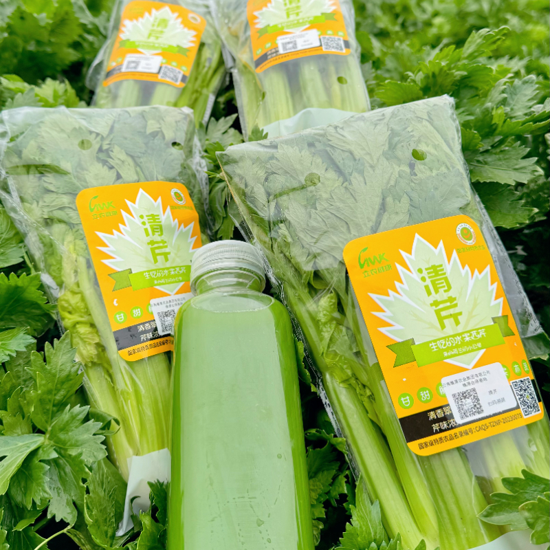 维康西芹生吃水果芹菜健康绿色