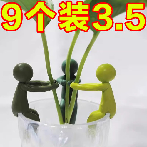 新款水培植物生长伴侣防倒伏