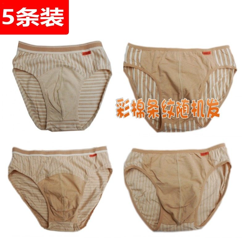 男士天然彩棉三角内裤中老年人