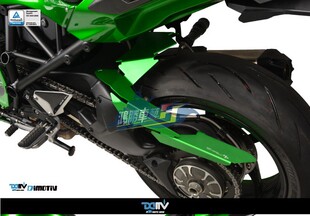 鏈條上飾蓋 德国DMV 后挡泥板罩后土除CN 改装 適用川崎H2SX